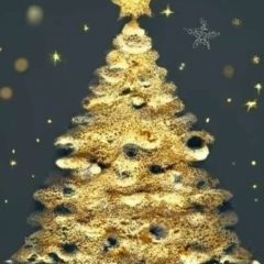 Joyeuses fêtes